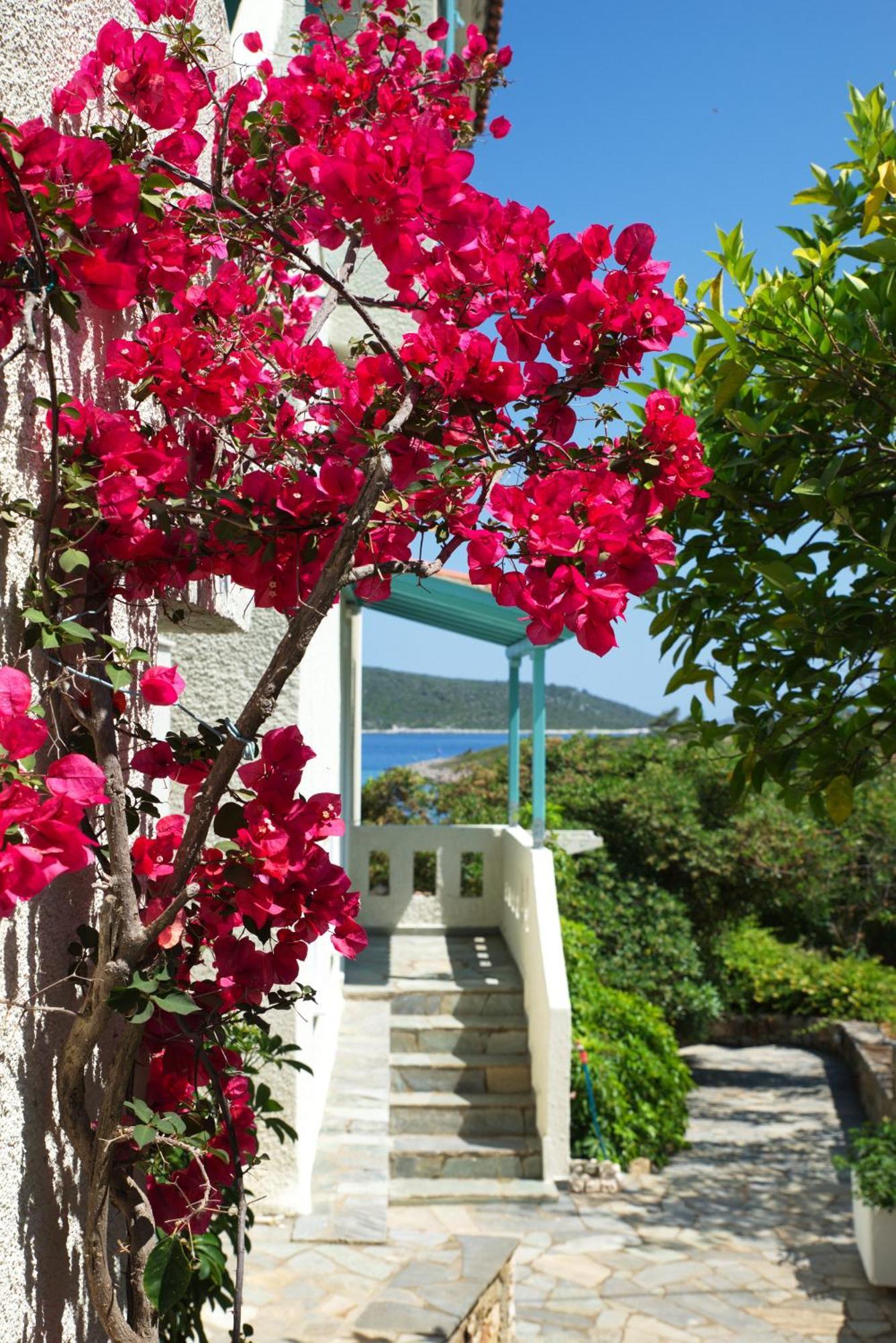 Ferienwohnung Casa Kalypso Steni Vala Alonissos Exterior foto