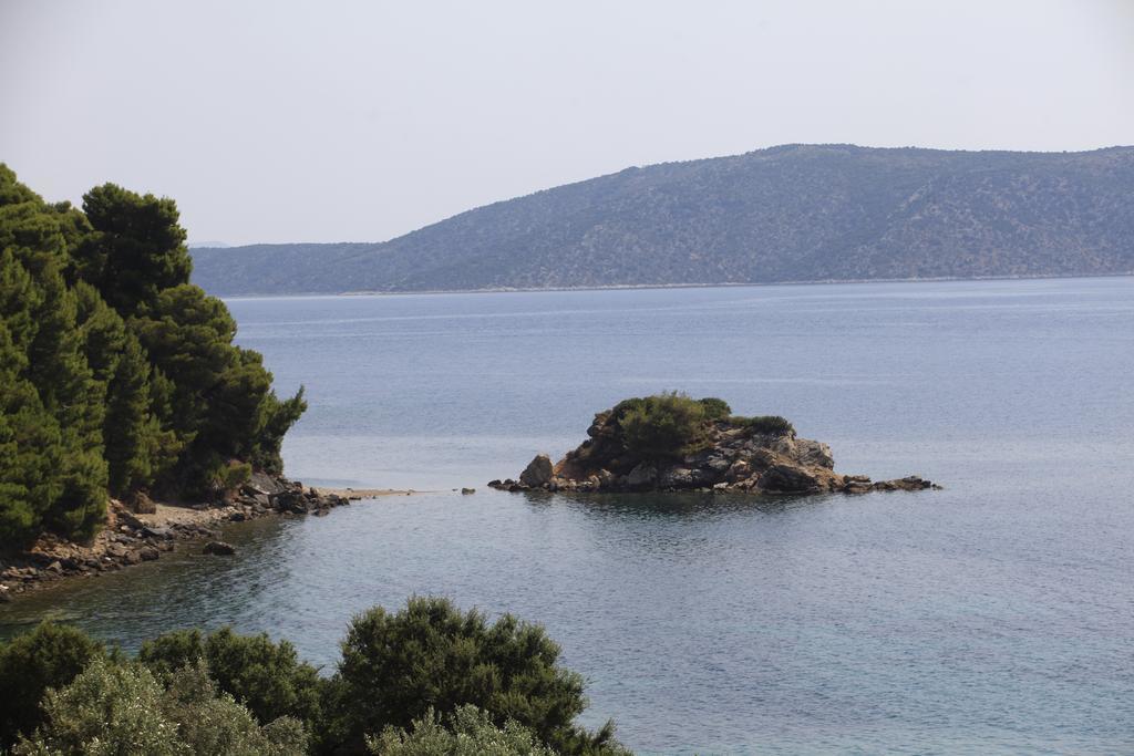 Ferienwohnung Casa Kalypso Steni Vala Alonissos Zimmer foto